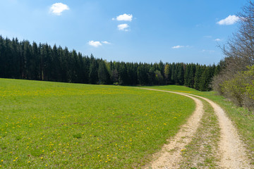 Fototapeta na wymiar Feld mit Wiese am Waldrand Schwäbische Alb