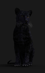 3d Illustration Black Panther Isolate on White Background with Clipping Path, Black Tiger
