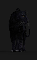 Naklejka na ściany i meble 3d Illustration Black Panther Isolate on White Background with Clipping Path, Black Tiger