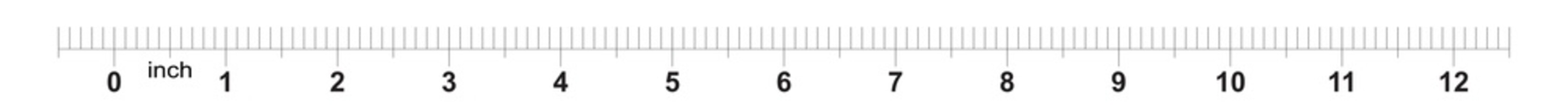 12 inch tape measure ruler with 0.1 inch markings. Metric grid.
