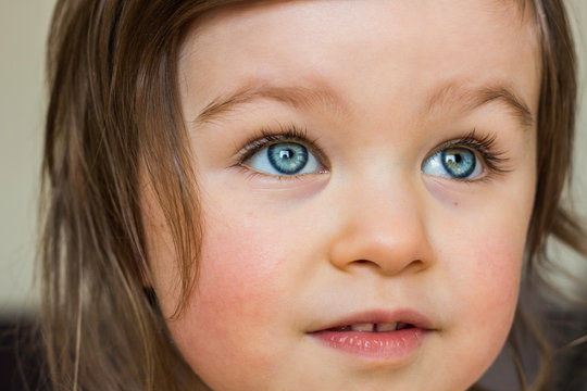 Beautiful Baby Toddler Looks Attentively. Closeup Portrait of Child with Blue Eyes