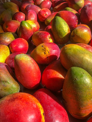 Ripe red mangos are heaped at market ready for sale - 265666336