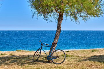 Obraz premium on the beach with the bicycle