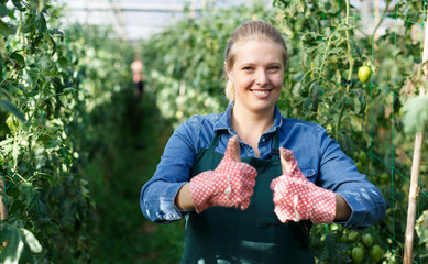Smiling woman gardener  in gloves  standing near  tomatoes seedlings