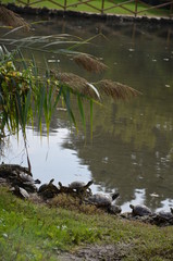 Parco Sempione in Milan 