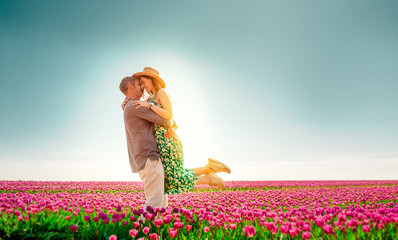 tulips field netherland 