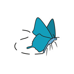beautiful butterfly isolated icon