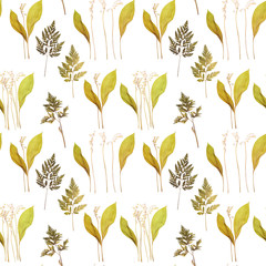 Lily of the valley - flower dry pressed herbarium pattern
