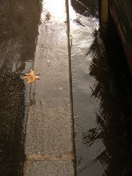 feuille dans caniveau apr&egrave;s la pluie