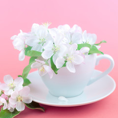 White spring apple tree blooming flowers in a cup