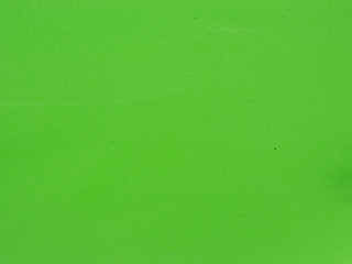 Light green background for future poster.