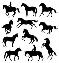 Horse silhouettes graphic vector illustration set