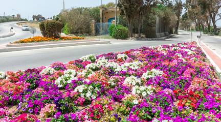 Flowers arrangement and roundabouts 
