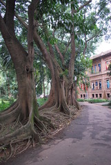 Fototapeta premium PINACOTECA DO ESTADO DE SÃO PAULO - BRASIL