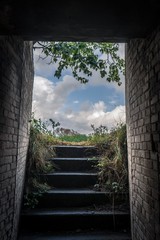 Stairway to nature 