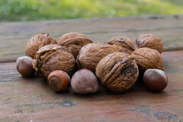 unopened walnuts, with wooden bottom and green trees