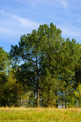 Fototapeta premium Beautiful autumn landscape, Armenia