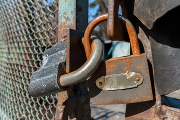 old rusty padlocks connect the doors of the iron fence, close-up, selective focus. Metal lock on a fence, security concept.