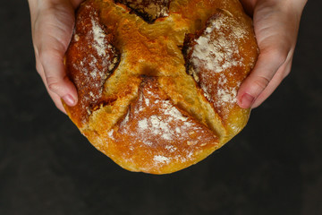 white bread round form, fresh pastries. food background. top