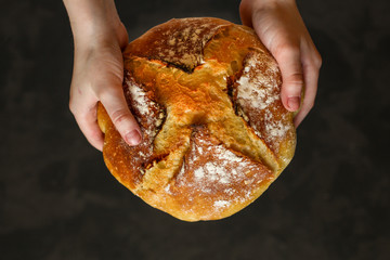white bread round form, fresh pastries. food background. top