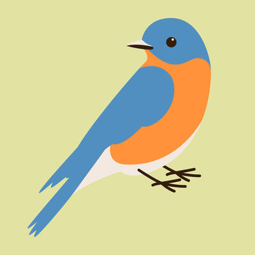 bluebird vector illustration,flat style, profile