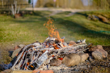 open fire burning logs in field with green grass