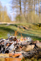 open fire burning logs in field with green grass