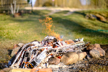 open fire burning logs in field with green grass