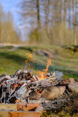 open fire burning logs in field with green grass