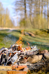 open fire burning logs in field with green grass