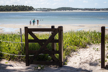 wooden bench on the beach