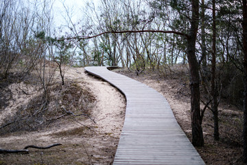 Fototapeta premium wooden plank boardwalk near sea in the dunes