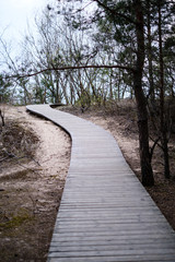 Obraz premium wooden plank boardwalk near sea in the dunes