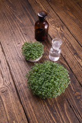 Microgreens in round container and small glass vials on wooden table. Raw sprouts, microgreens,...