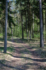 Obraz premium beautiful gravel road in countryside