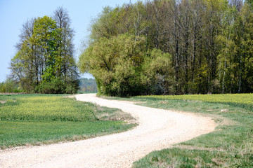 beautiful gravel road in countryside