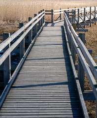 The pedestrian wooden footbridge with the railing goes through the dry reeds in the lake, with shallow water all around