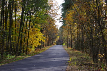 Road