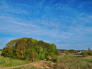 Fototapeta na wymiar landscape with trees and blue sky in Minsk Region of Belarus