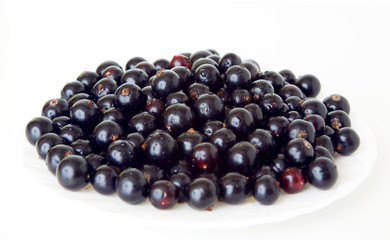 Black currants. Ripe berries of black currant on white background