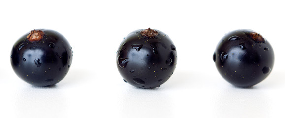 Ripe berries of black currant on white background, close up