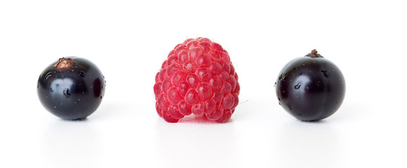 ripe black currant and raspberry berries on a white background
