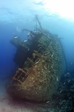 Shipwreck, Gianis D., Red Sea, Sharm El Sheikh, Egypt, Africa