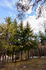 Beautiful nature scenery, Armenia