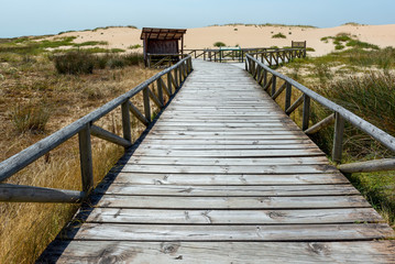 Fototapeta na wymiar Dunes of Corrubedo, Galicia, Spain
