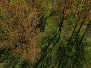 path in the forest in Minsk Region of Belarus