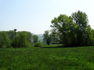 Blick auf das Storchennest bei Brüggen