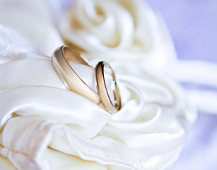 Two white gold wedding rings on satin fabric