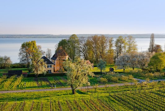 Hagnau, Lake Constance district, Swabia, Baden-Wurttemberg, Germany, Europe