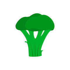 Broccoli green natural health vitamin plant vector icon. Ingredient agriculture flat delicious food top view vegetable.